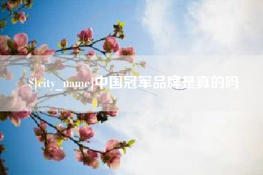 巢湖中国冠军品牌是真的吗
