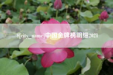 巢湖中国金牌榜明细2021