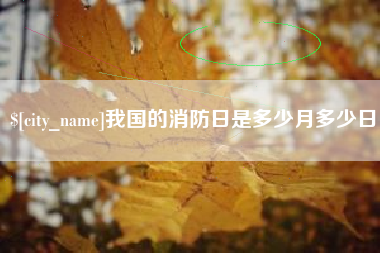 巢湖我国的消防日是多少月多少日
