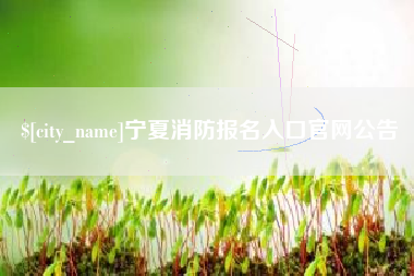 巢湖宁夏消防报名入口官网公告