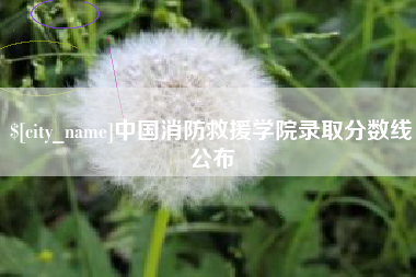 巢湖中国消防救援学院录取分数线公布