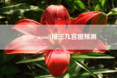 巢湖排三九宫图预测