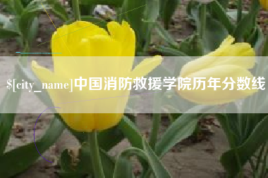 巢湖中国消防救援学院历年分数线