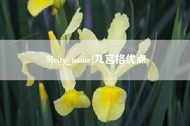 巢湖九宫格优点