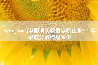 巢湖中国消防救援学院山东2020年录取分数线是多少