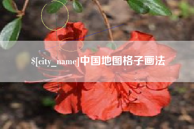 巢湖中国地图格子画法
