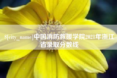 巢湖中国消防救援学院2021年浙江省录取分数线