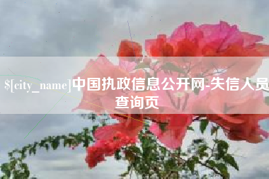 巢湖中国执政信息公开网-失信人员查询页