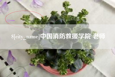 巢湖中国消防救援学院 老师