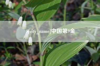 巢湖中国第9金