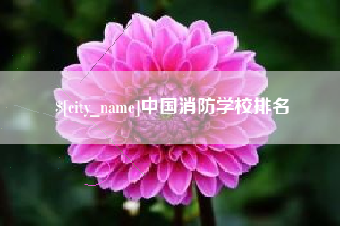 巢湖中国消防学校排名