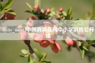 巢湖中国消防官网中小学消防公开课