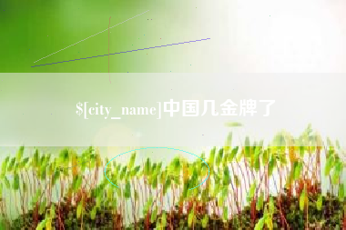 巢湖中国几金牌了