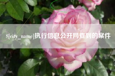 巢湖执行信息公开网查到的案件