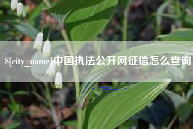 巢湖中国执法公开网征信怎么查询