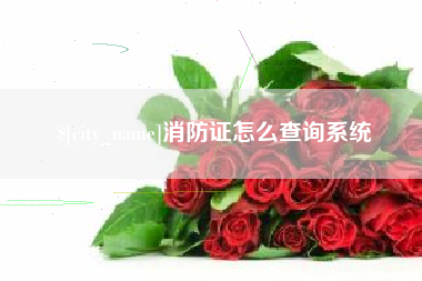 巢湖消防证怎么查询系统
