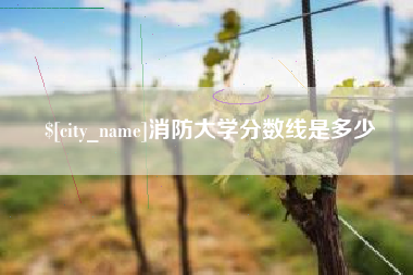 巢湖消防大学分数线是多少
