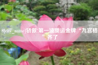 巢湖骄傲!第一波奥运金牌“九宫格”齐了