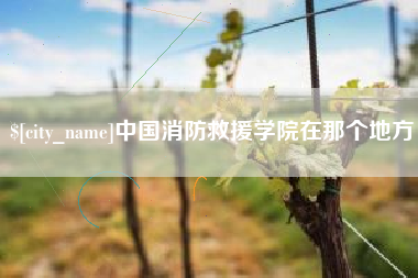 巢湖中国消防救援学院在那个地方