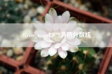 巢湖2021消防分数线