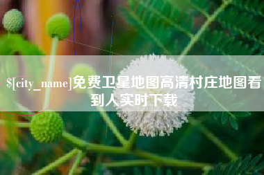 巢湖免费卫星地图高清村庄地图看到人实时下载