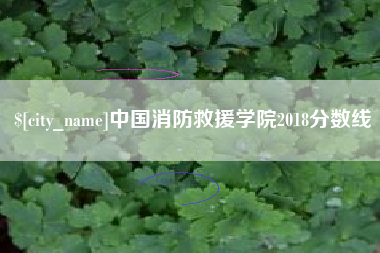 巢湖中国消防救援学院2018分数线