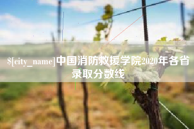 巢湖中国消防救援学院2020年各省录取分数线
