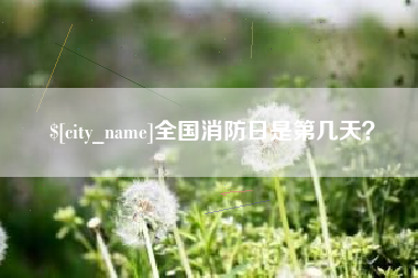 巢湖全国消防日是第几天？