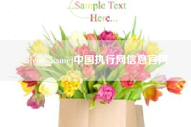 巢湖中国执行网信息官网