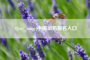 巢湖中国消防报名入口