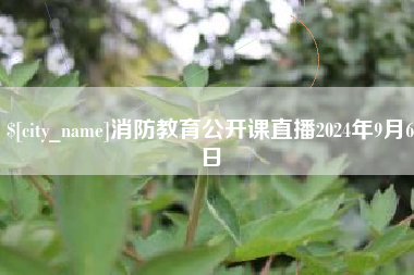 巢湖消防教育公开课直播2024年9月6日