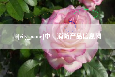 巢湖中囯消防产品信息网