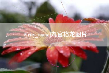 巢湖九宫格龙图片
