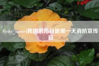 巢湖我国消防日是哪一天消防宣传日