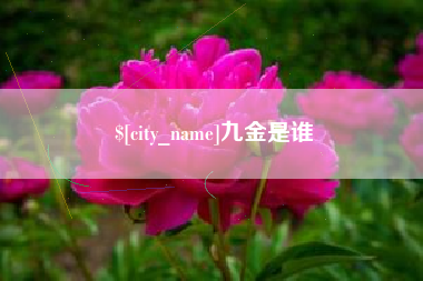 巢湖九金是谁