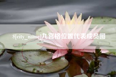 巢湖九宫格位置代表成员图