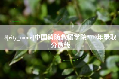 巢湖中国消防救援学院2019年录取分数线