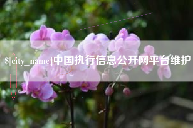 巢湖中国执行信息公开网平台维护