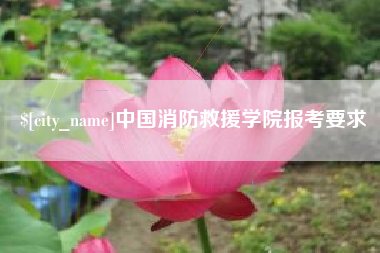 巢湖中国消防救援学院报考要求
