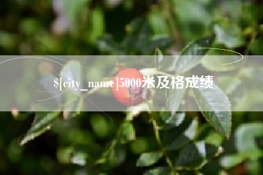 巢湖5000米及格成绩