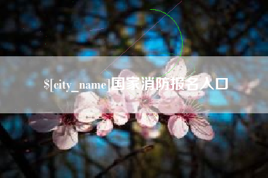 巢湖国家消防报名入口