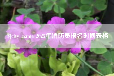 巢湖2025年消防员报名时间表格