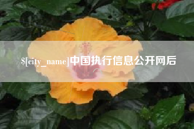 巢湖中国执行信息公开网后