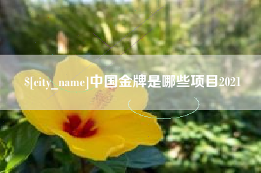 巢湖中国金牌是哪些项目2021