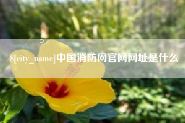巢湖中国消防网官网网址是什么