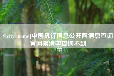 巢湖中国执行信息公开网信息查询官网限消中查询不到
