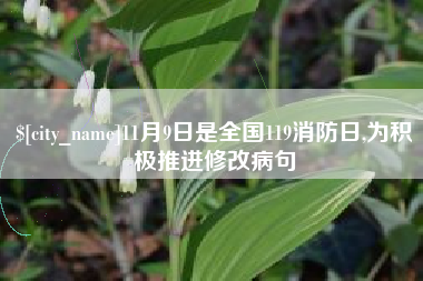 巢湖11月9日是全国119消防日,为积极推进修改病句