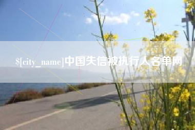 巢湖中国失信被执行人名单网