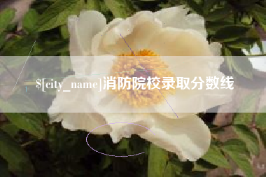 巢湖消防院校录取分数线