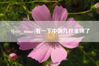 巢湖看一下中国几枚金牌了
